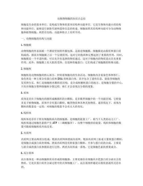 动植物细胞的知识点总结