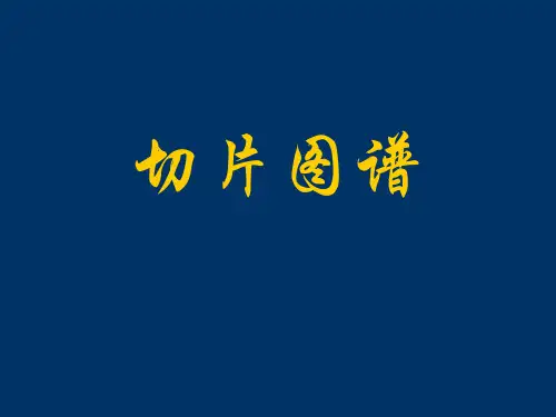 病理切片图ppt课件