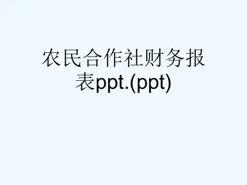 农民合作社财务报表ppt.(ppt)