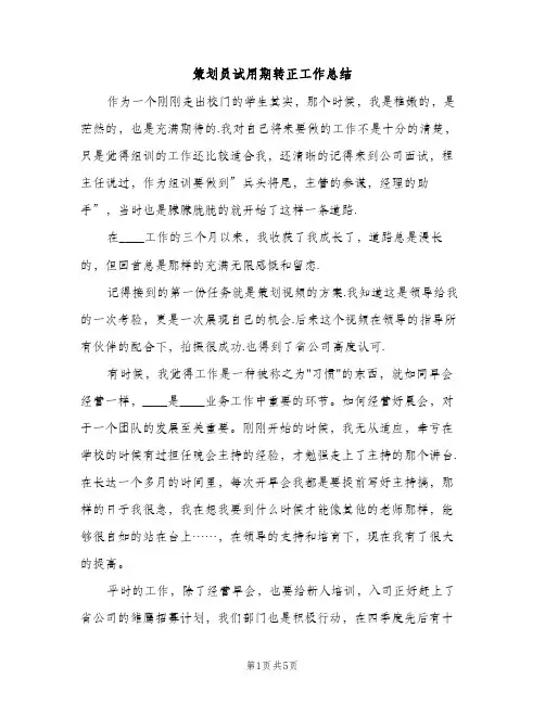 策划员试用期转正工作总结（2篇）