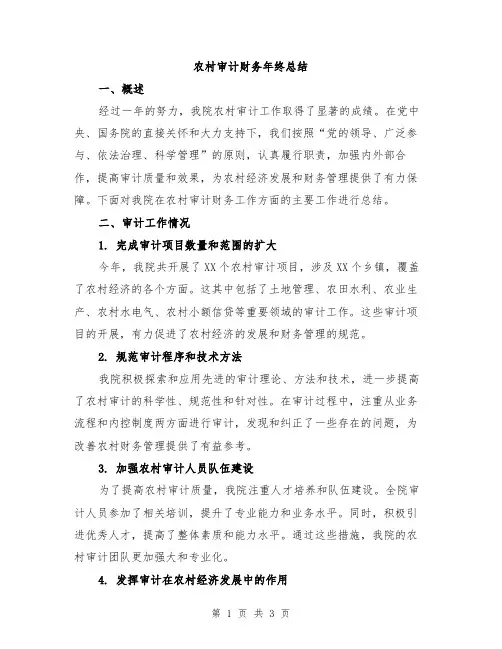 农村审计财务年终总结