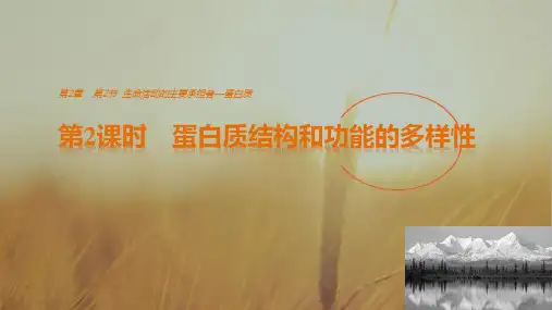2018年高中生物必修一课件：第2章 第2节 第2课时 蛋白质结构和功能的多样性