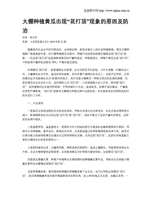 大棚种植黄瓜出现“花打顶”现象的原因及防治