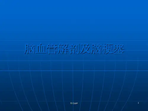 脑血管解剖与脑梗塞影像学表现