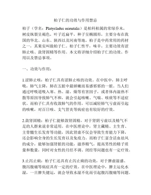 柏子仁的功效与作用禁忌