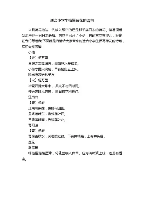 适合小学生描写荷花的诗句
