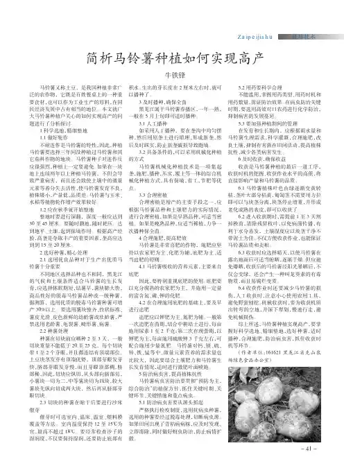 简析马铃薯种植如何实现高产