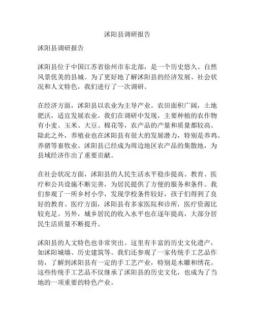 沭阳县调研报告