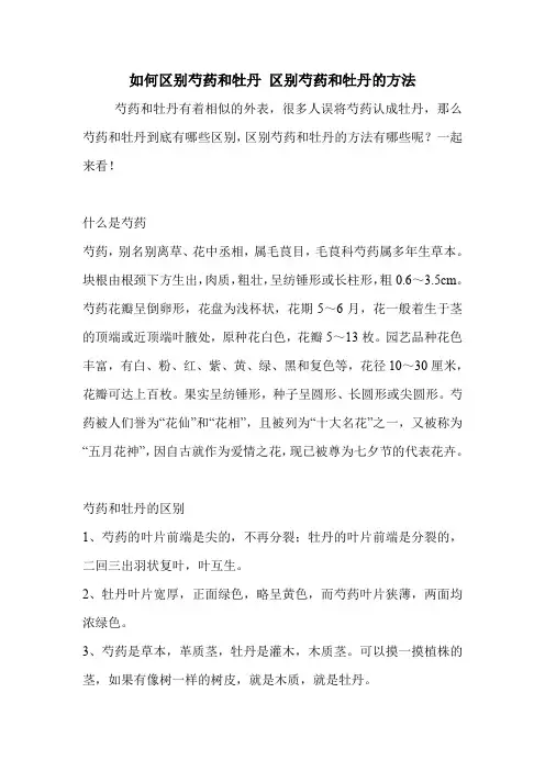 如何区别芍药和牡丹 区别芍药和牡丹的方法.doc