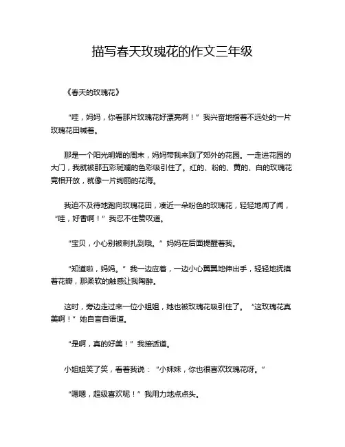 描写春天玫瑰花的作文三年级