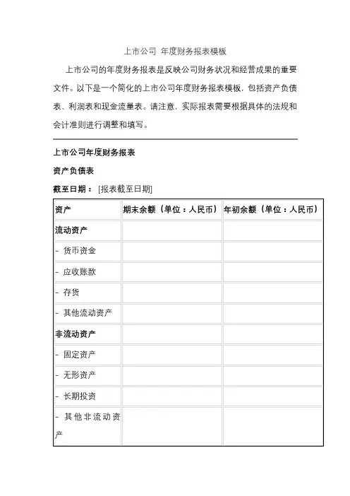 上市公司 年度财务报表模板