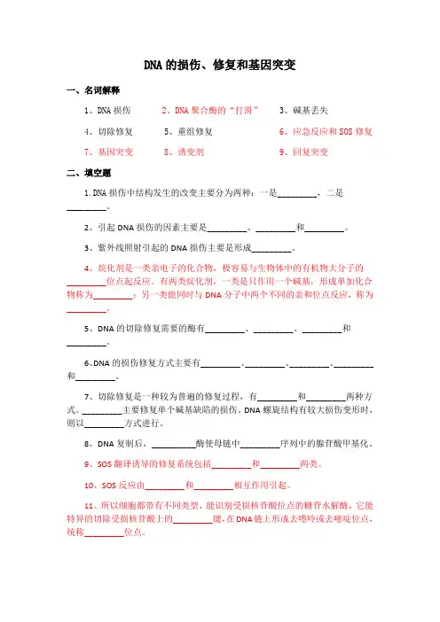 DNA的损伤