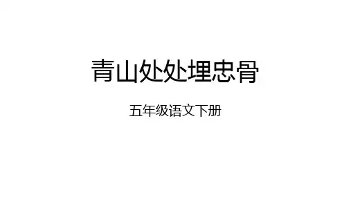 《青山处处埋忠骨》ppt课件