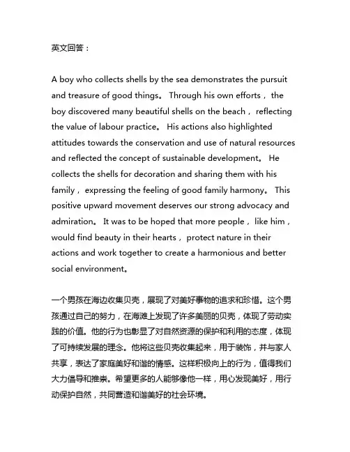 一个男孩儿在海边捡贝壳故事的作文600字