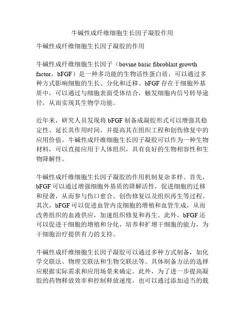 牛碱性成纤维细胞生长因子凝胶作用