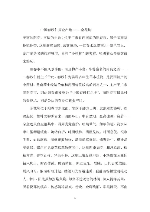 中国春砂仁黄金产地
