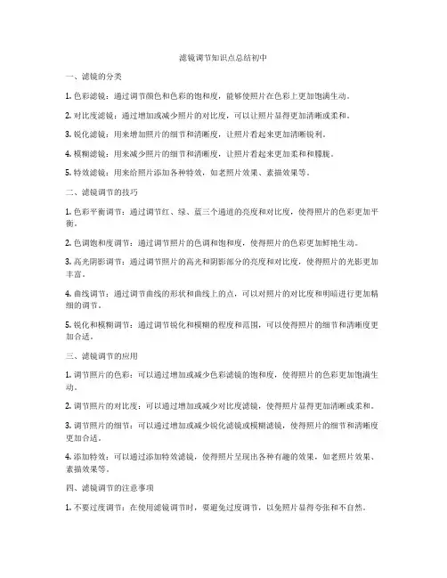 滤镜调节知识点总结初中