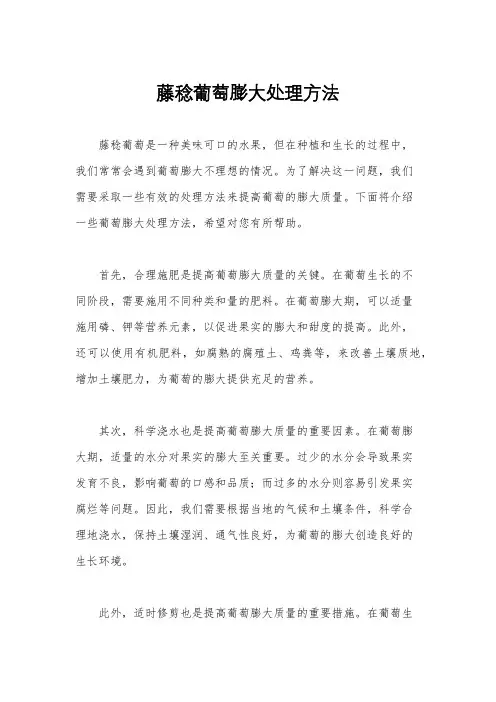 藤稔葡萄膨大处理方法