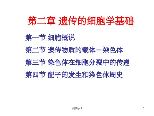 遗传的细胞学基础 (2)