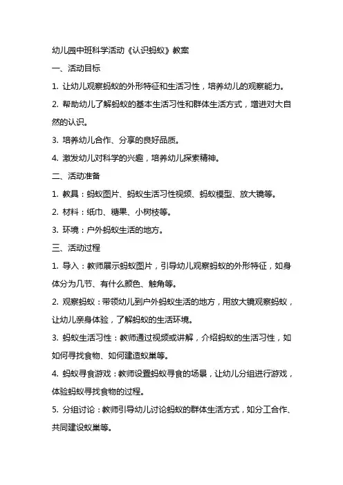 幼儿园中班科学活动《认识蚂蚁》教案