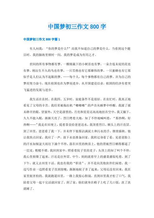 中国梦初三作文800字