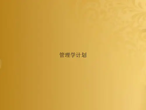管理学计划