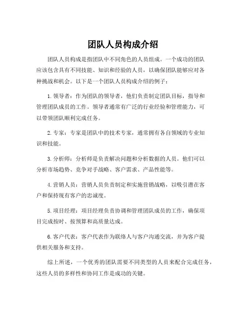 团队人员构成介绍