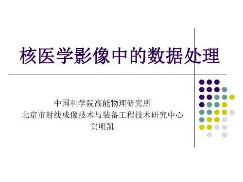 核医学影像中的数据处理 ppt课件
