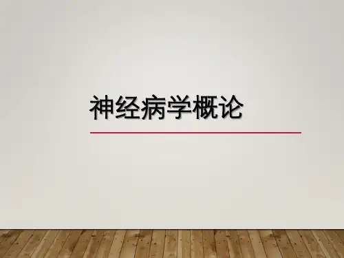 神经病学教学ppt