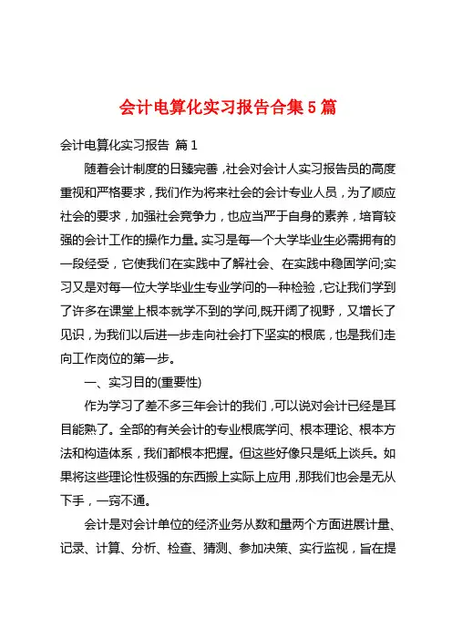 会计电算化实习报告合集5篇
