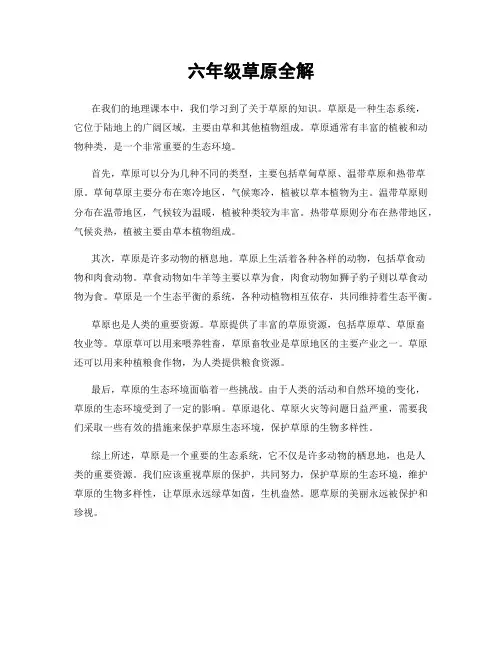 六年级草原全解