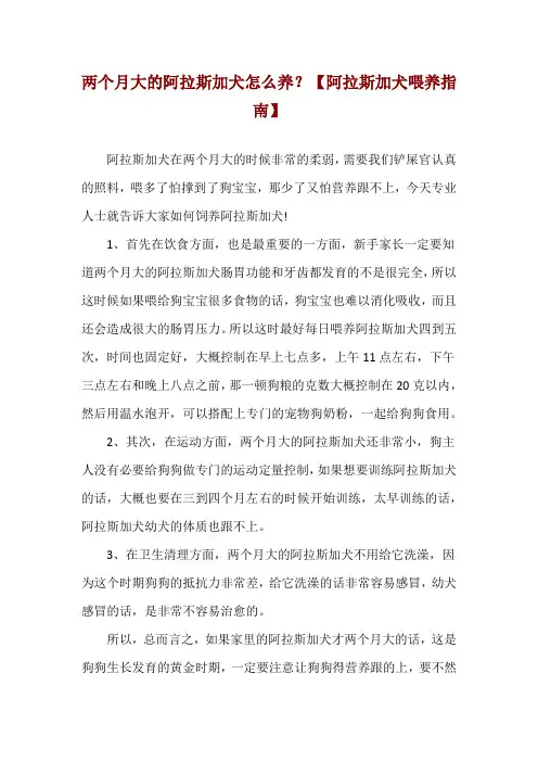 两个月大的阿拉斯加犬怎么养？【阿拉斯加犬喂养指南】