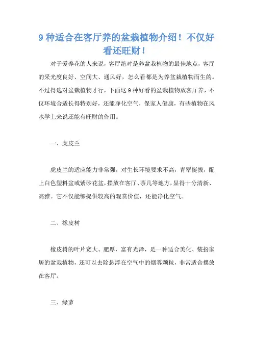 9种适合在客厅养的盆栽植物介绍!不仅好看还旺财!