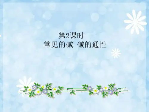 人教版九年级化学下册课件- 常见的酸和碱