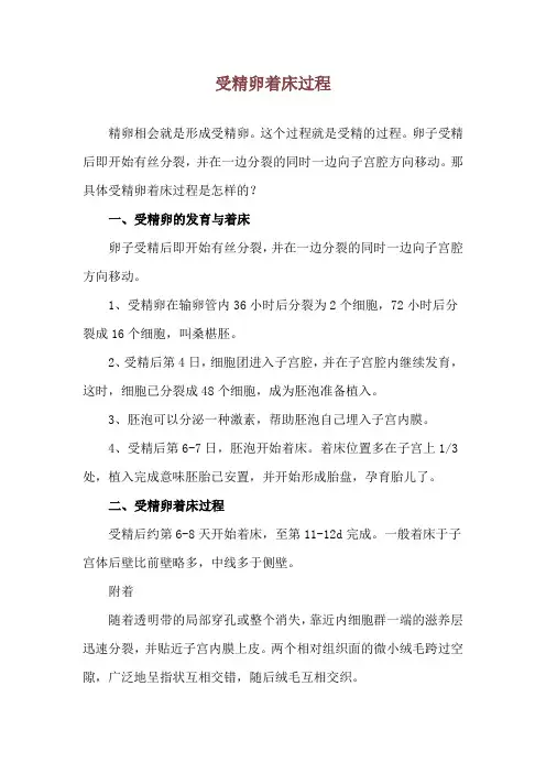 受精卵着床过程
