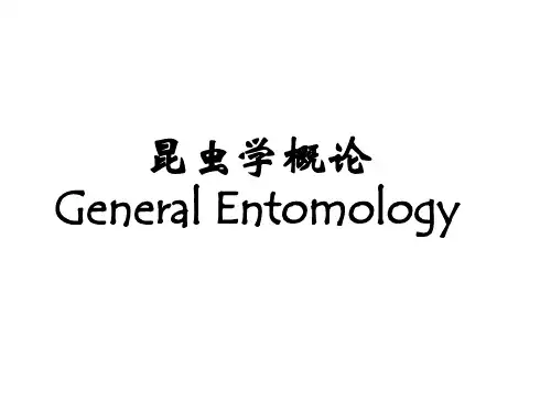 昆虫学概论——昆虫与人类的关系