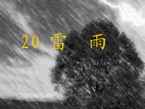 鲁教版小学语文二年级下册雷雨PPT课件
