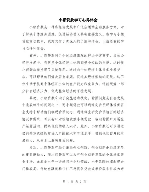 小额贷款学习心得体会