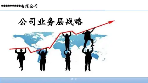 公司业务层战略分享