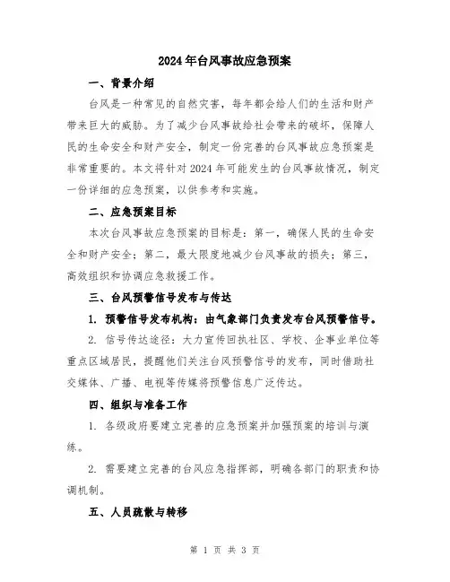 2024年台风事故应急预案