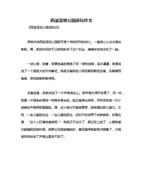 西溪湿地公园游玩作文