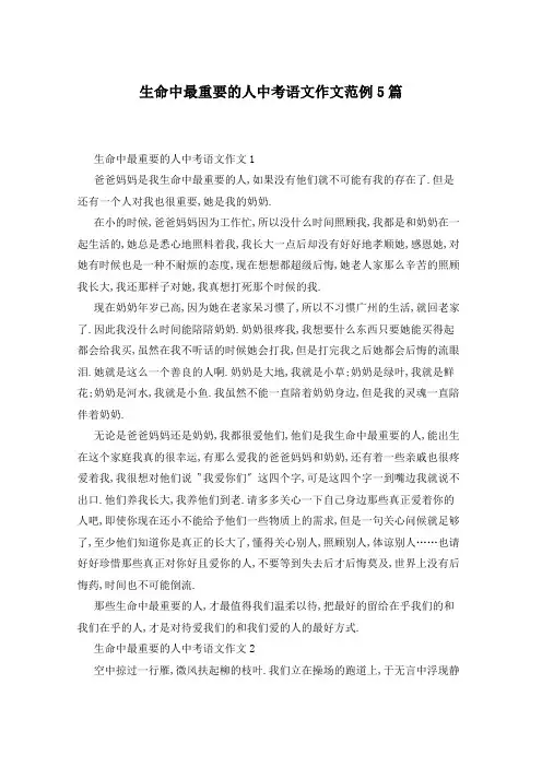 生命中最重要的人中考语文作文范例5篇