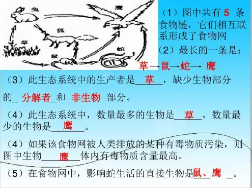 人教版生物七年级上册识图题总结-2022年学习资料