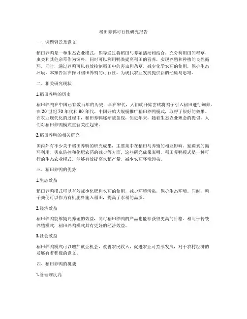 稻田养鸭可行性研究报告