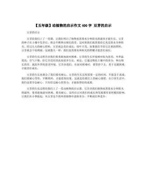 【五年级】动植物的启示作文400字 豆芽的启示