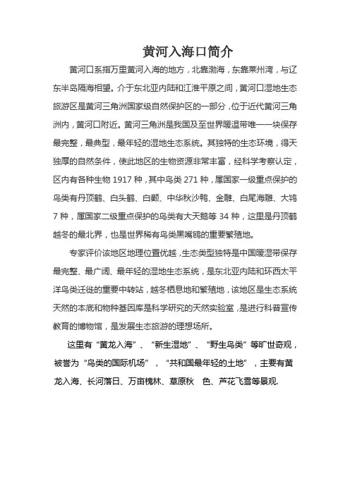 黄河入海口简介