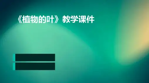《植物的叶》教学课件