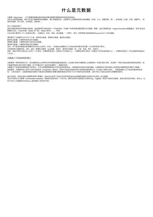 什么是元数据