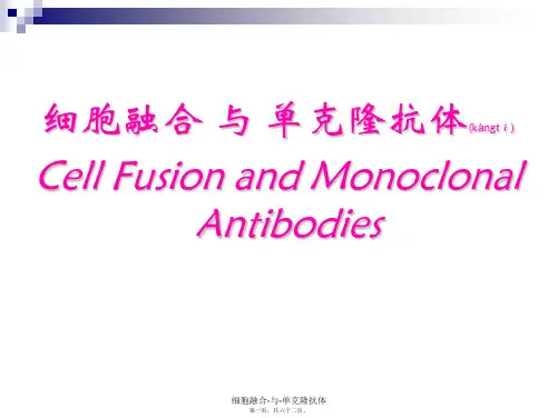 细胞融合-与-单克隆抗体课件
