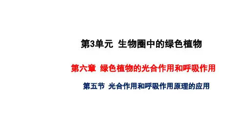 光合作用和呼吸作用原理的应用 教学课件 苏教版七年级生物上册